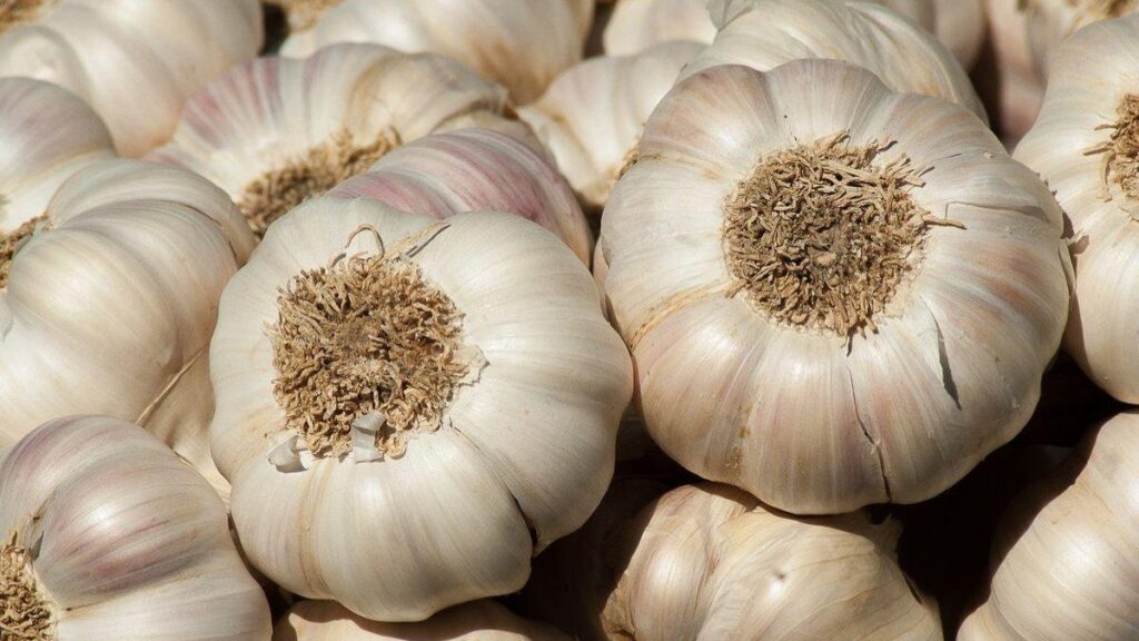7 Tipu Memelihara Bawang Merah dan Putih Agar Awet Segar dan Bebas Tunas