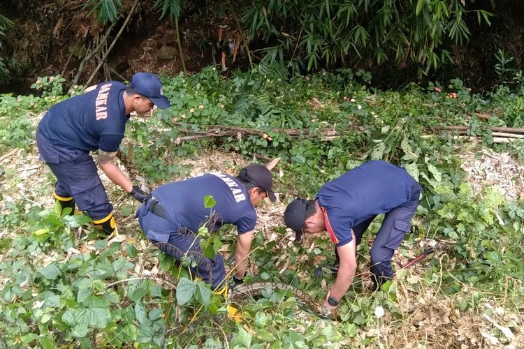 Ular Raksasa dua meter Hinggap Tak Jauh dari Tempat Bermain Anak-Anak di Salatiga