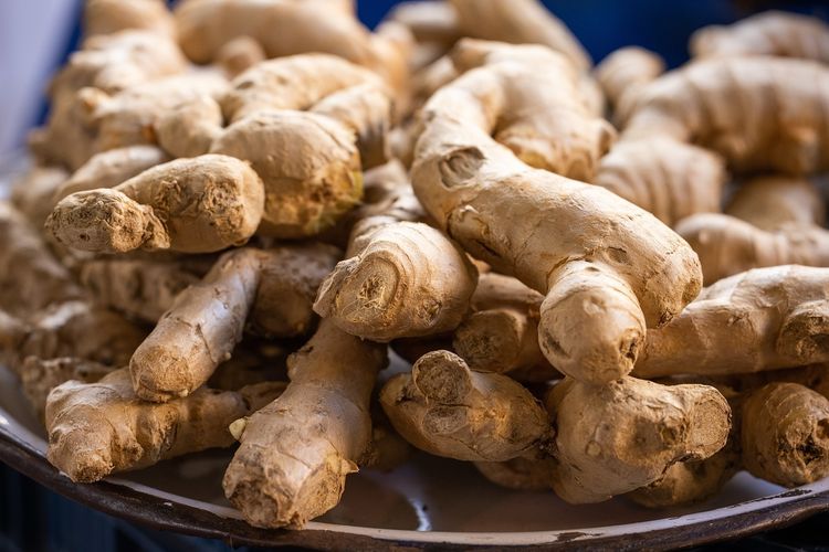 Herbal Terbaik untuk Membersihkan Ginjal secara Alami